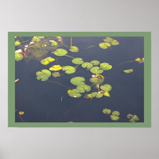 Affiche Photo de Nymphéas (Devant)