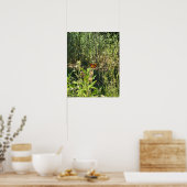 Affiche photo de papillon monarque (Cuisine)