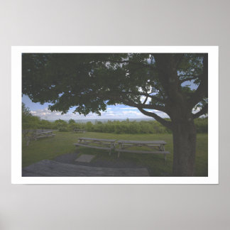 Affiche photo de paysage d'arbres