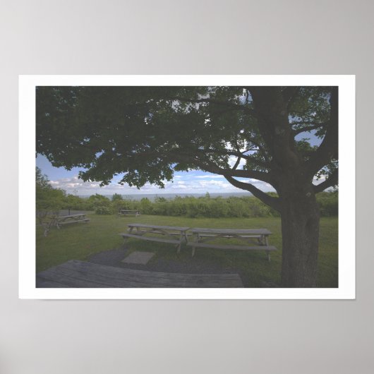 Affiche photo de paysage d'arbres (Devant)