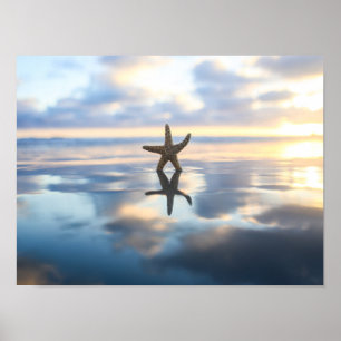 Affiche photo d'étoiles de mer sur la plage