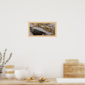 Affiche Photo d'Oiseaux sur Roches (Cuisine)