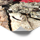 Affiche Photo Feuille Rouge (Coin)