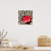 Affiche Photo Feuille Rouge (Cuisine)