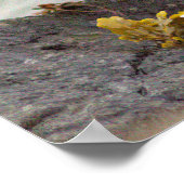 Affiche Photo Oiseau sur Rocher (Coin)