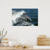 affiche photo pour dauphin en bouteille (Cuisine)