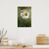 Affiche Photographie de Fleur de Daisy Nature (Cuisine)