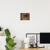 Affiche photographique de la vache écossaise Highl (Bureau à domicile)