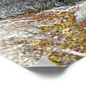 Affiche photographique d'un corbeau assoiffé buvan (Coin)