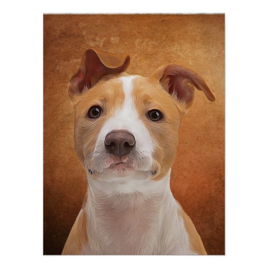 Affiche Pitbull (Devant)