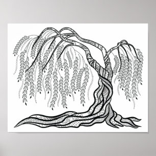 Affiche pleurante de coloration de saule