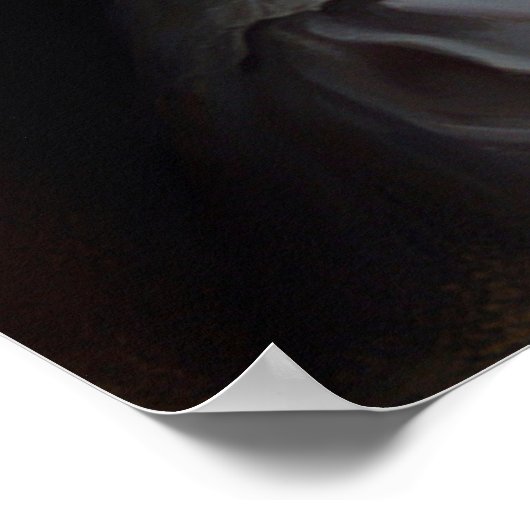 Affiche plongée Margalit (Coin)