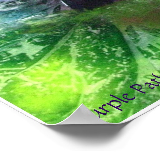 Affiche PMACarlson Purple Pathway (Coin)