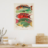 Affiche Poissons 2 (Cuisine)