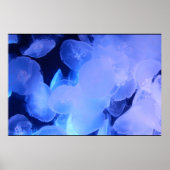 AFFICHE POISSONS-JELLY (Devant)