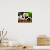 Affiche pour chat et chien (Cuisine)