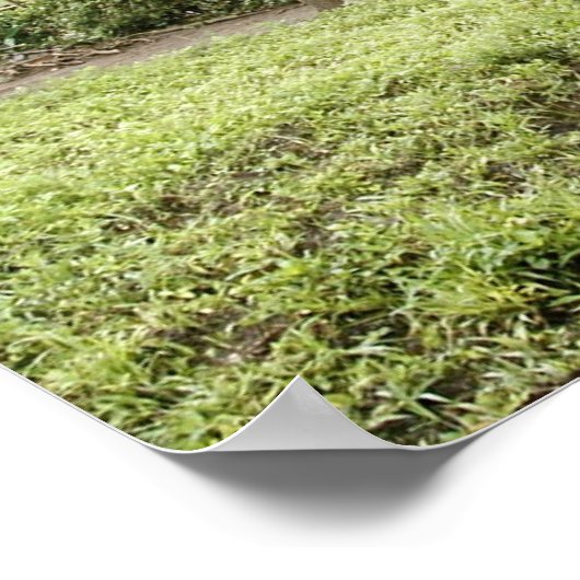 affiche pour éléphants (Coin)