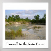 Affiche pour la conservation de la forêt tropicale (Devant)