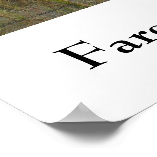 Affiche pour la conservation de la forêt tropicale (Coin)