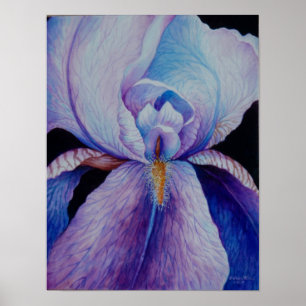 Affiche pourpre d'art d'aquarelle d'iris