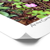 Affiche "Priez pour la paix de Jérusalem" (Coin)