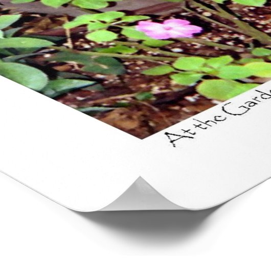 Affiche "Priez pour la paix de Jérusalem" (Coin)