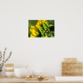Affiche - Profil arrière de tournesol (Cuisine)