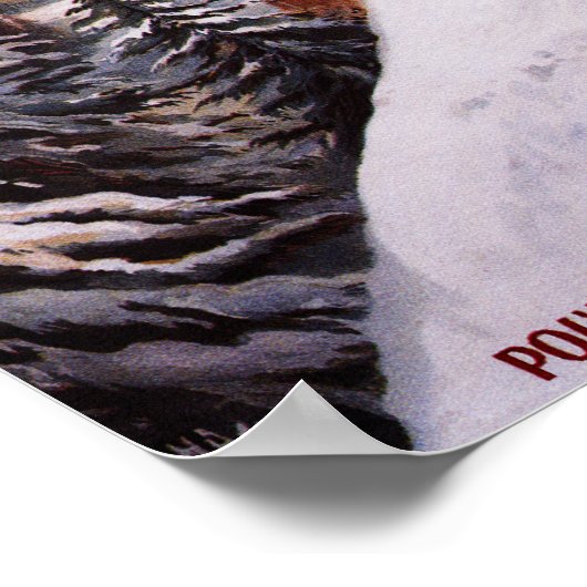 Affiche promotionnelle ski (Coin)