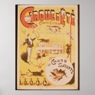Affiche publicitaire du Cirque d'Ete dans