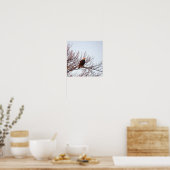 Affiche pygargue à tête blanche dans l'arbre (Cuisine)