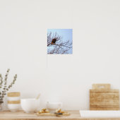 Affiche Pygargue à tête blanche dans un arbre (Cuisine)