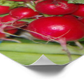 Affiche Radical (Coin)