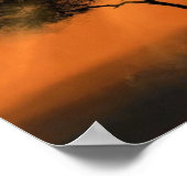 Affiche Rayons de soleil sur l'arbre Coucher de so (Coin)
