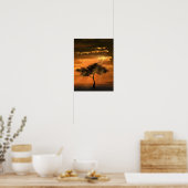 Affiche Rayons de soleil sur l'arbre Coucher de so (Cuisine)