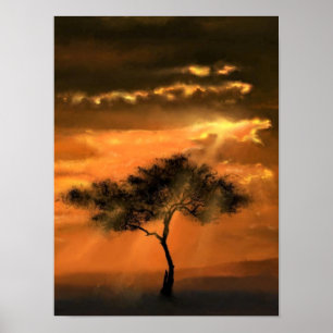 Affiche Rayons de soleil sur l'arbre Coucher de so