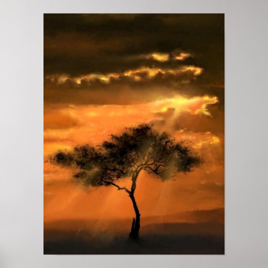 Affiche Rayons de soleil sur l'arbre Coucher de so (Devant)