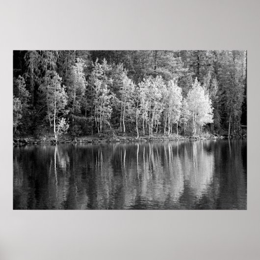 Affiche Réflexions (Devant)