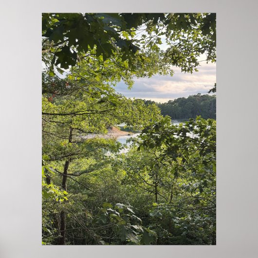 Affiche Regardant à travers les Arbres (Devant)