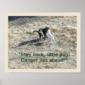 Affiche Reste en arrière petit chien (Devant)