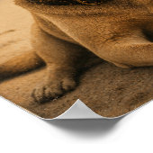 Affiche Rétro de Plage Personnalisée avec Image et (Coin)