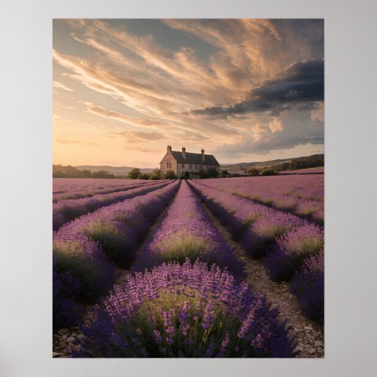 Affiche Rêves de Lavande de Provence (Devant)
