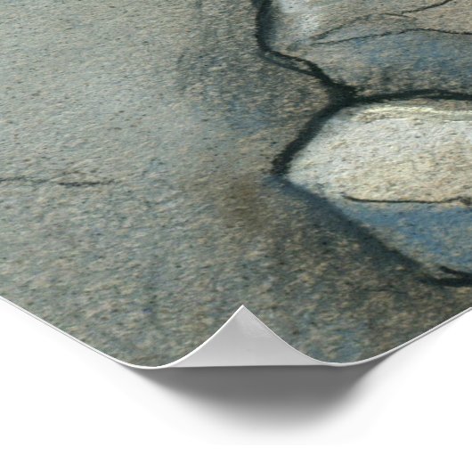 affiche révolutionnaire de limgo (Coin)