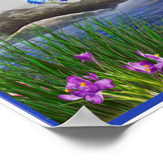 Affiche Romans 8:28 (Coin)