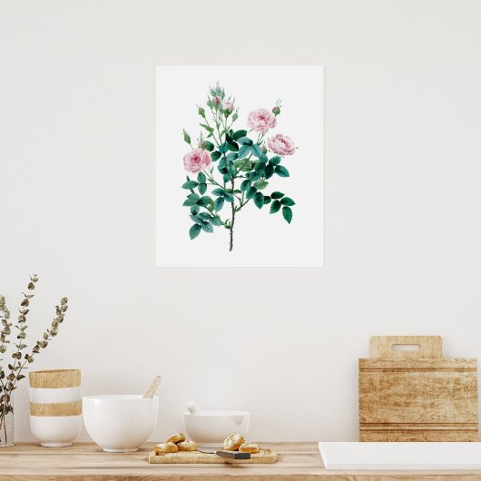 Affiche rose (Cuisine)