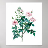 Affiche rose (Devant)