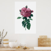 Affiche rose (Cuisine)