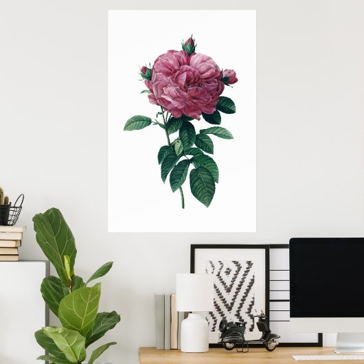 Affiche rose (Bureau à domicile)