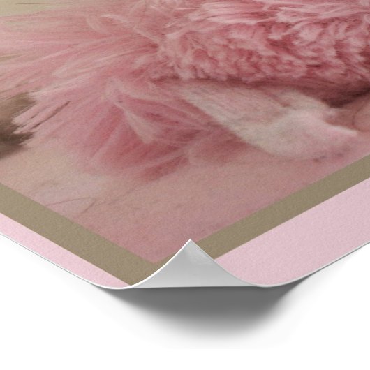 affiche rose3 (Coin)