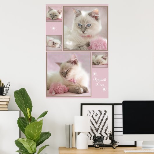 affiche rose3 (Bureau à domicile)