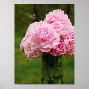 Affiche rose de bouquet de pivoine